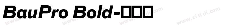 BauPro Bold字体转换